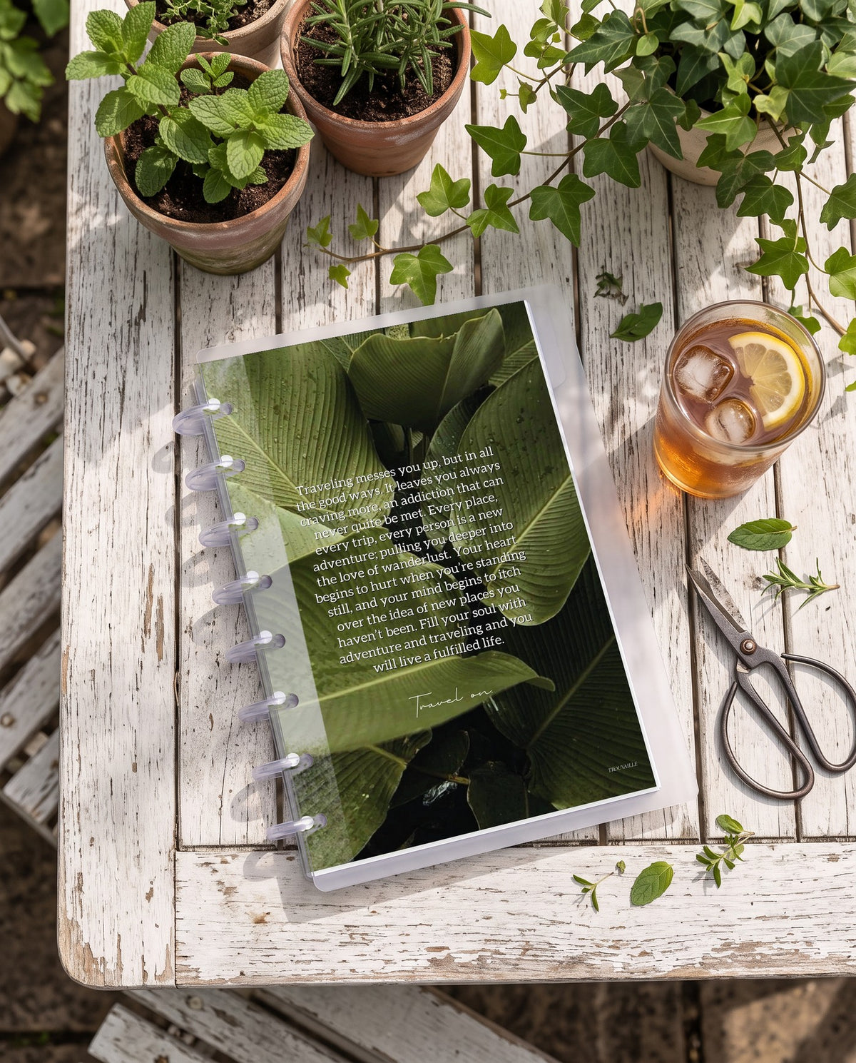 Greenery cardstock planner dashboard inside a clear half letter discbound planner with 8 discs on a white wooden garden table with potted herbs