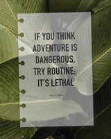 Adventure Is Dangerous — Frosted