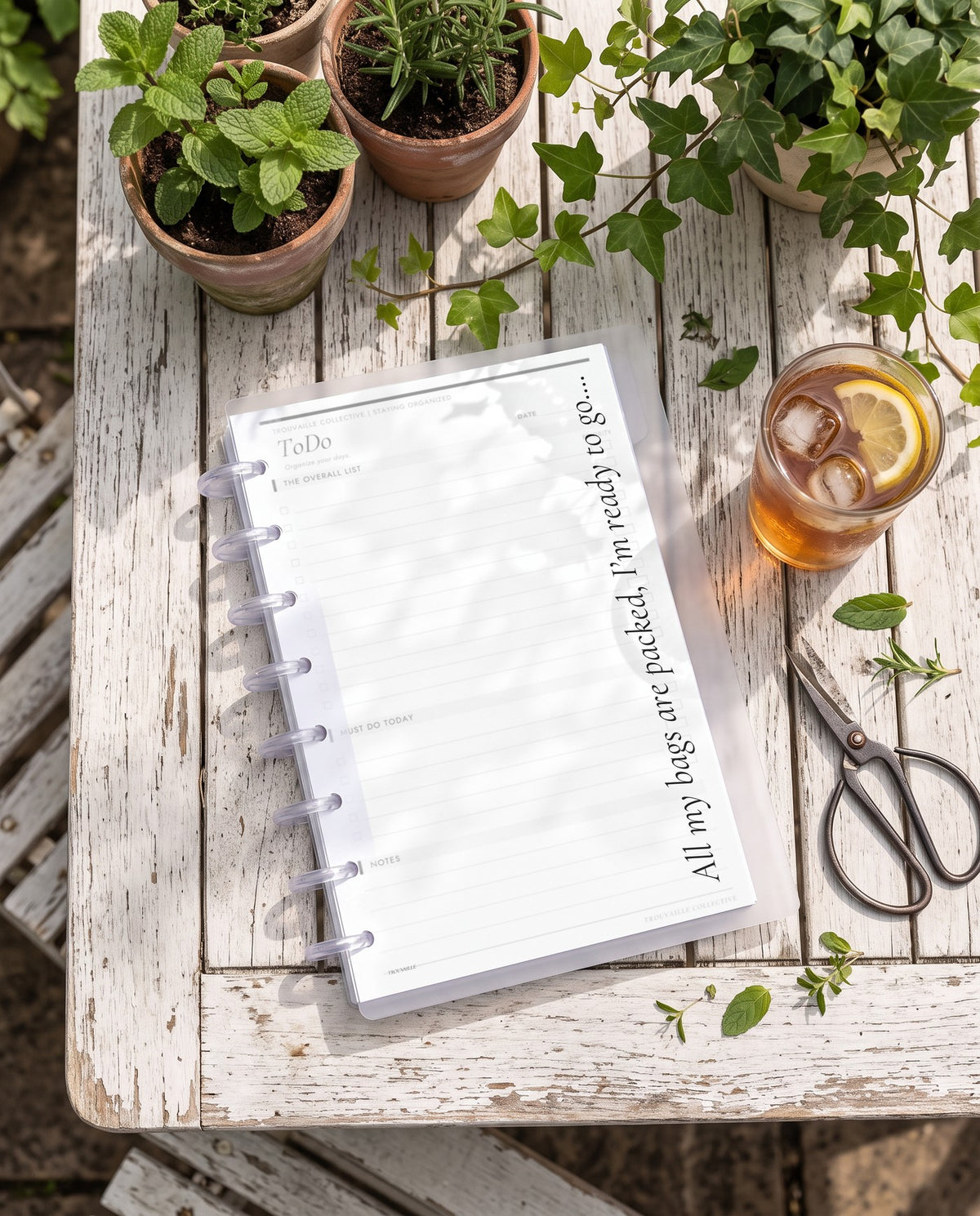 All My Bags Are Packed frosted planner dashboard inside a clear half letter discbound planner with 8 discs on a white wooden garden table with potted herbs