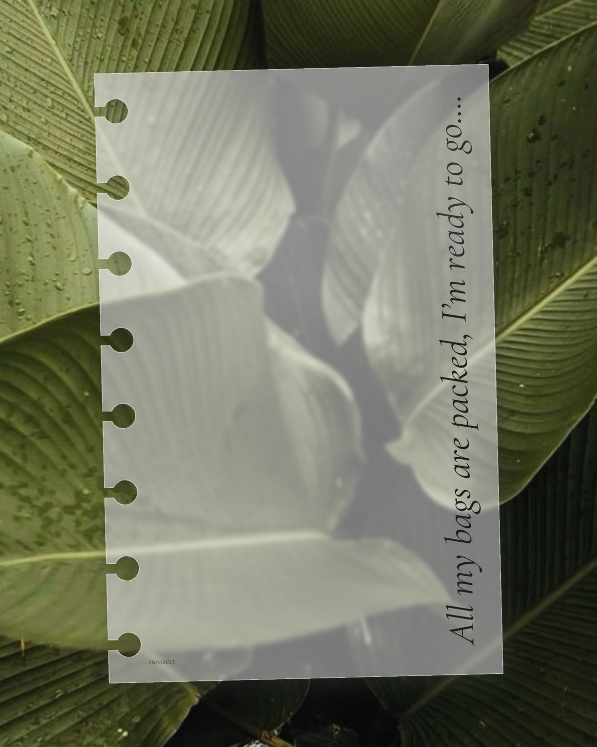 All My Bags Are Packed frosted planner dashboard on a green leaf, the leaf visible through the translucent plastic