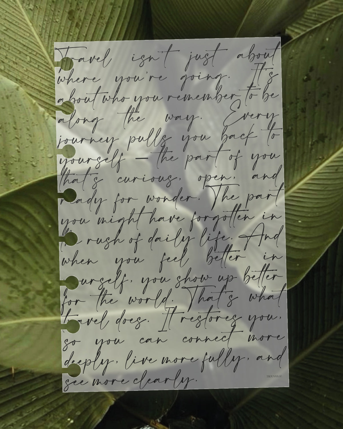 Script frosted planner dashboard on a green leaf, the leaf visible through the translucent plastic